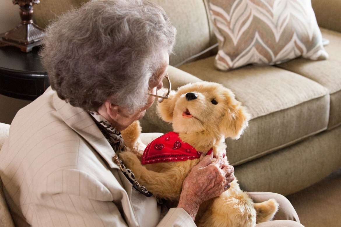 Robotic Pets for Seniors Help Ease Dementia and Loneliness